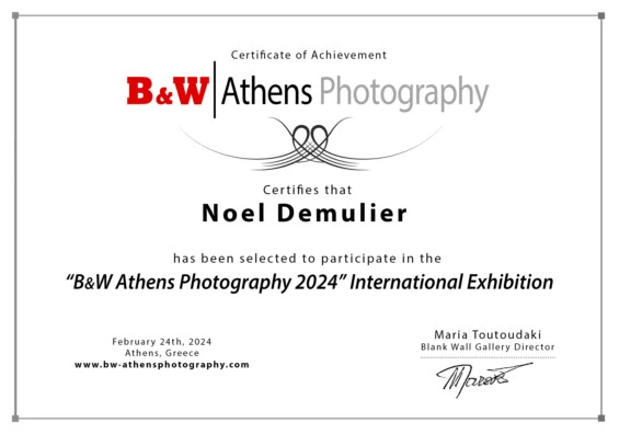 Certificat de participation au festival International de la Photographie noir et blanc d'Athènes 2024