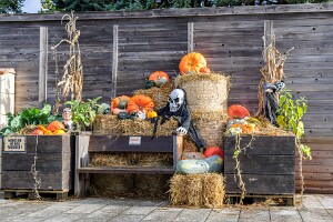 Le jardin botanique Jean-Marie Pelt Chaque année, ce sont des milliers de visiteurs qui viennent découvrir le sentier d'Halloween.