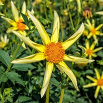 2025-08-09 23-22-13 (B,R8,S4)