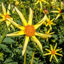 2025-08-09 23-24-11 (B,R8,S4)-2