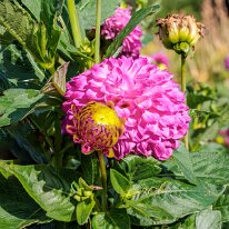 2025-08-10 05-00-19 (B,R8,S4)-Modifier