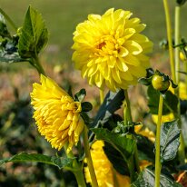 2025-08-10 05-10-44 (B,R8,S4)