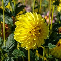 2025-08-10 05-13-44 (B,R8,S4)