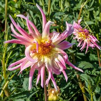 2025-08-10 05-16-09 (B,R8,S4)