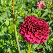 2025-08-10 05-21-29 (B,R8,S4)