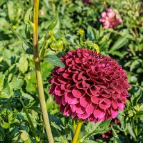 2025-08-10 05-24-03 (B,R8,S4)