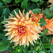 2025-08-10 08-36-21 (B,R8,S4)