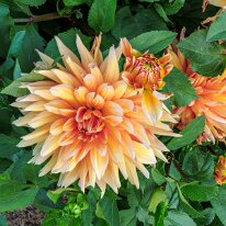 2025-08-10 08-38-07 (B,R8,S4)