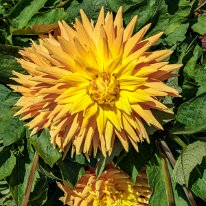 2025-08-10 08-39-48 (B,R8,S4)