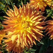 2025-08-10 08-41-15 (B,R8,S4)-2