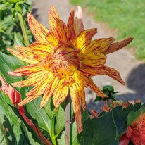 2025-08-10 09-59-00 (B,R8,S4)