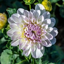 2025-08-10 10-03-09 (B,R8,S4)