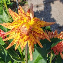 2025-08-10 10-07-19 (B,R8,S4)