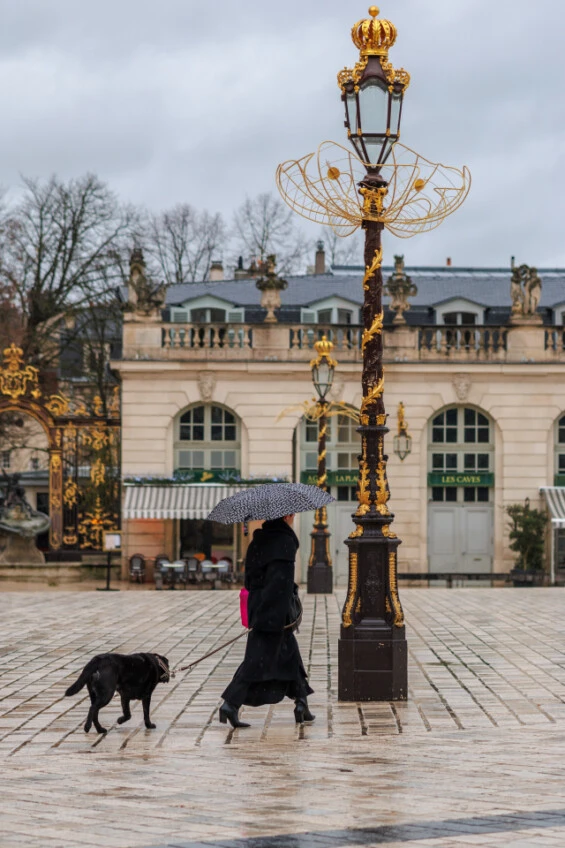 Une dame avec un parapluie se promène en tenant en laisse un chien noir