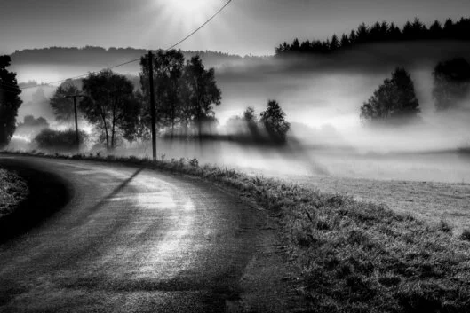 Cette photographie en noir et blanc capture l’essence même du renouveau matinal