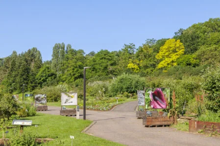 Cette photographie nous ouvre les portes du Jardin botanique Jean-Marie Pelt