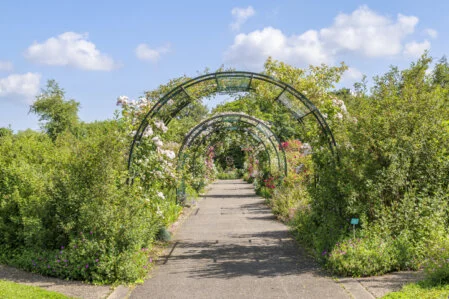 Cette photographie dévoile un espace de détente et de partage au cœur du Jardin botanique Jean-Marie Pelt